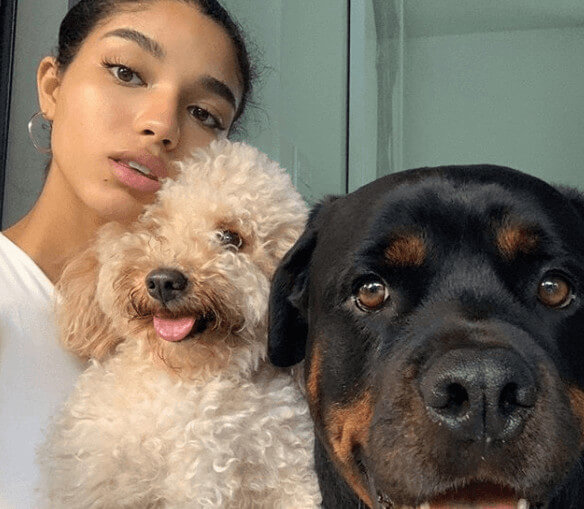 Yovanna Ventura Loves Her Pets